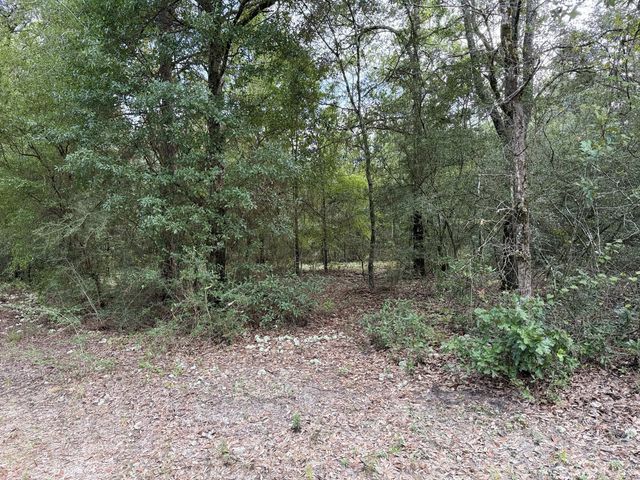 Photo of Listing #983039