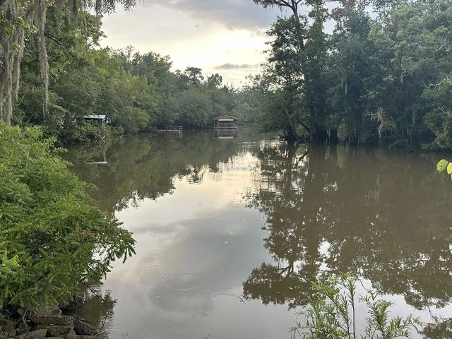 Photo of Listing #983133