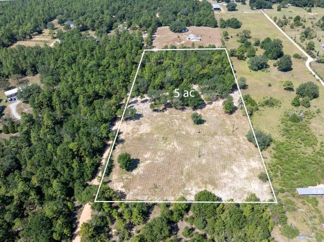 Photo of Listing #984019