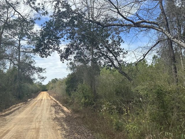 Photo of Listing #983396