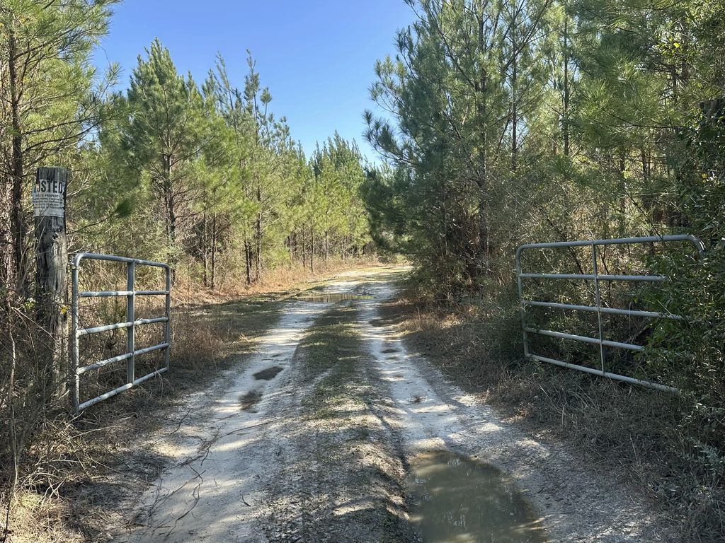 Tract#6317 Harris Stevenson Road, Bonifay