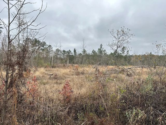 Photo of Listing #983419
