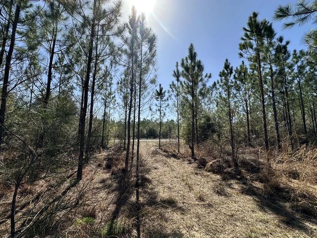 Photo of Listing #983529
