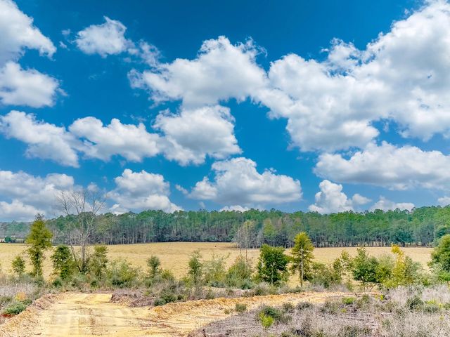 Photo of Listing #983535