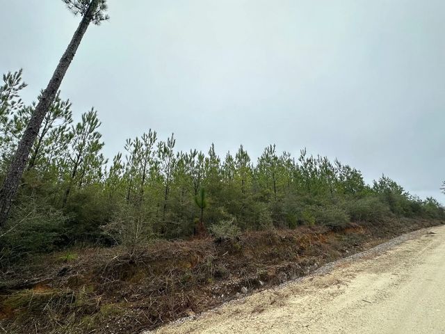 Photo of Listing #983541