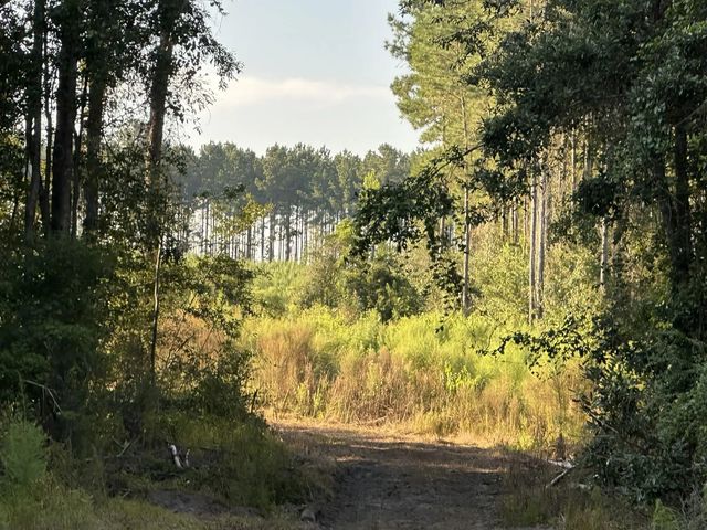 Photo of Listing #983574