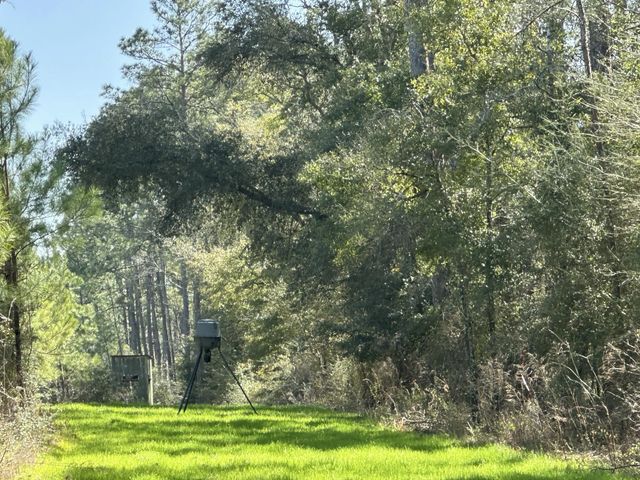 Photo of Listing #983609