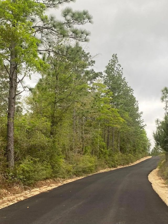 Photo of Listing #984009