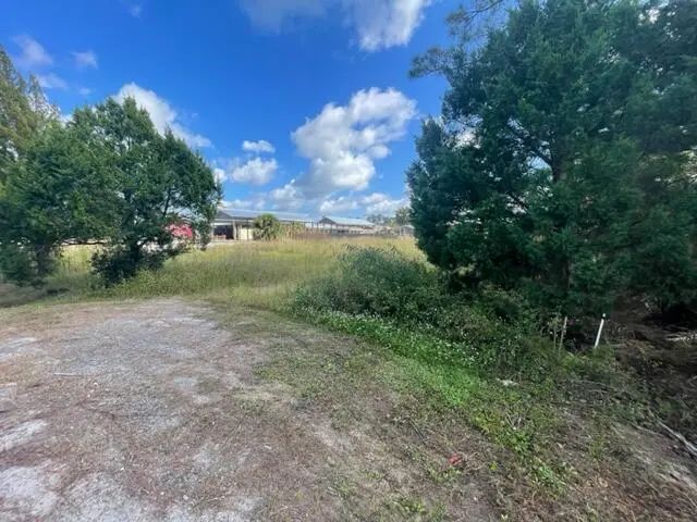 Photo of Listing #984878