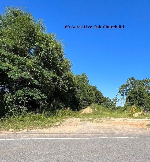 Photo of Listing #985164
