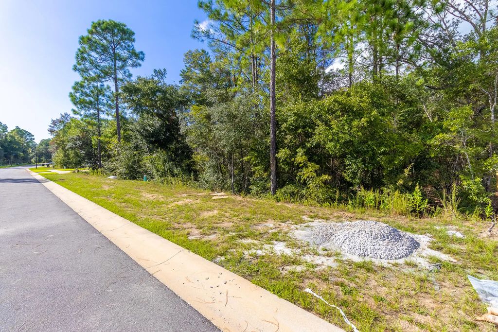 2 of 119 - Tbd Spirit Bear Way Lot 38, Blk C, Freeport, FL