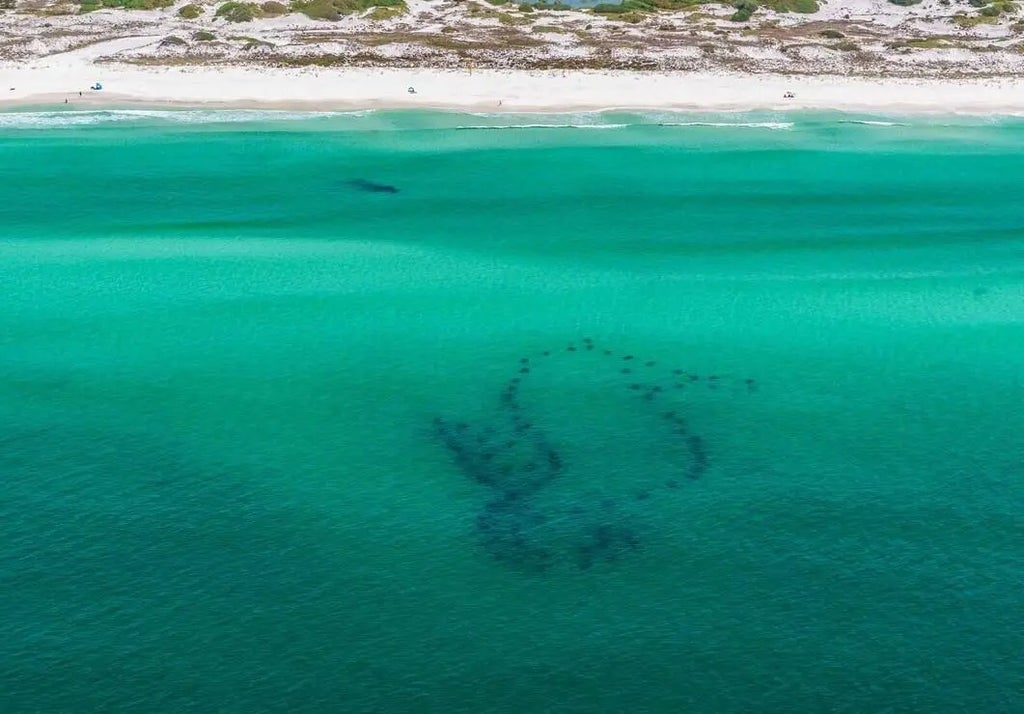 97 of 98 - 5000 S Sandestin Boulevard Unit 6302 And 6304, Miramar Beach, FL