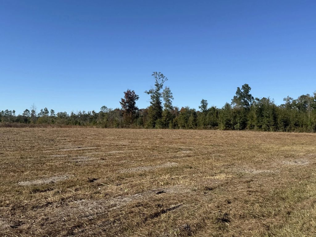 Lot 1 Hwy 71, Wewahitchka