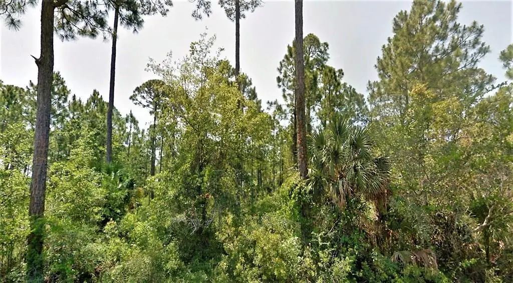 1 Cr 30-a, Port St. Joe
