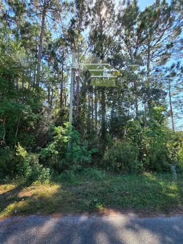 Photo of Listing #986010