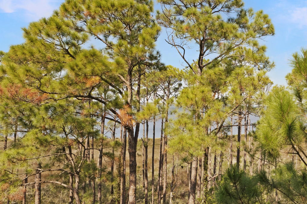 2 of 66 - 9600 Grand Sandestin Boulevard Unit 3418, Miramar Beach, FL