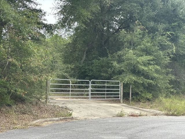 Photo of Listing #986811