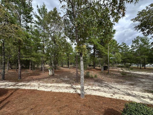 Photo of Listing #986990
