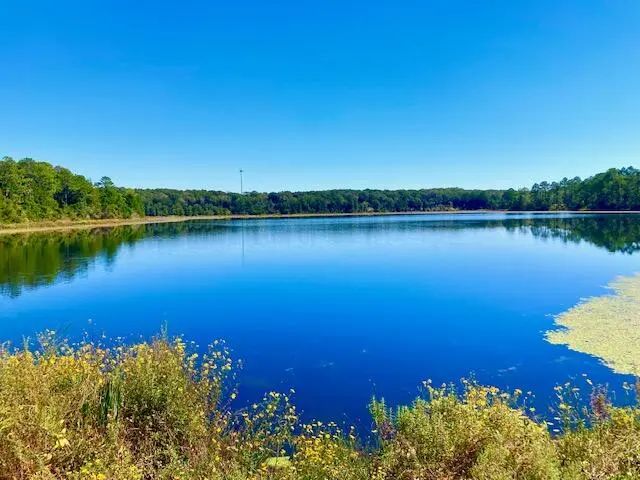 Photo of Listing #987621