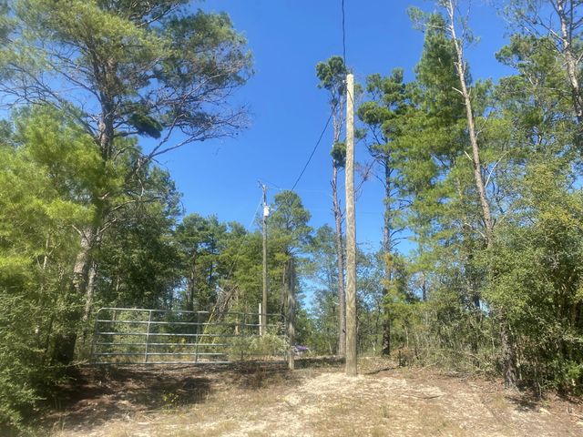 Photo of Listing #987469