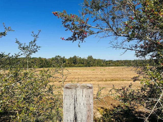 Photo of Listing #987733