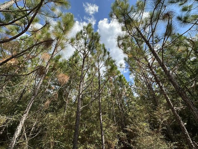 Photo of Listing #987803