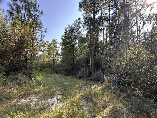 Photo of Listing #995480