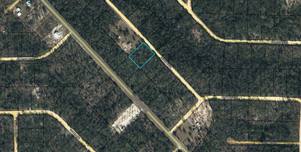 Lot 11 Papaya Street, Marianna