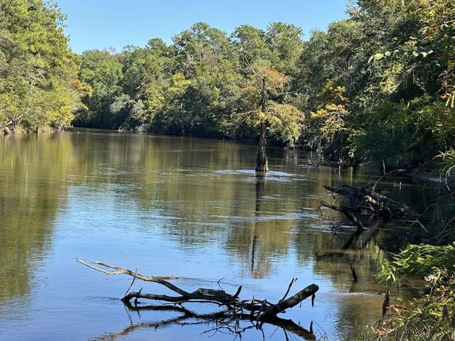 Photo of Listing #987997