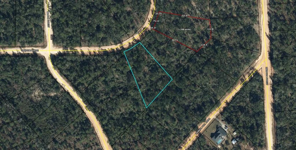 Lot 10 Gardenia Drive, Marianna