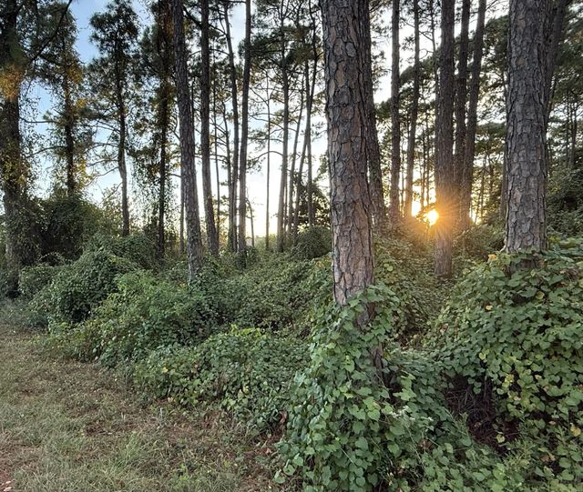 Photo of Listing #988339