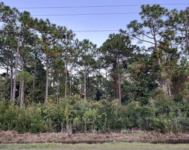 Photo of Listing #988607