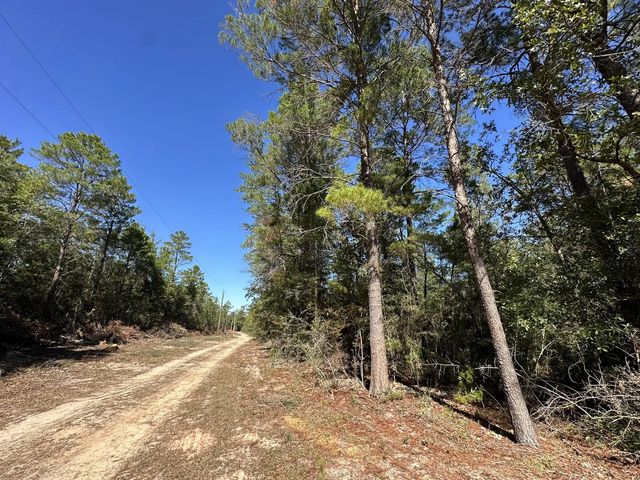 Photo of Listing #989157