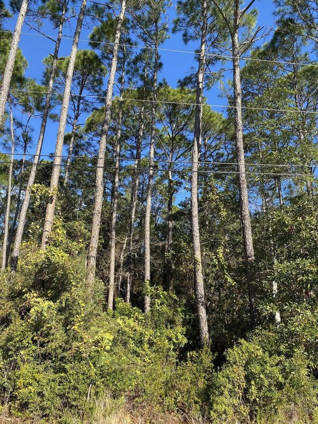 Photo of Listing #988926