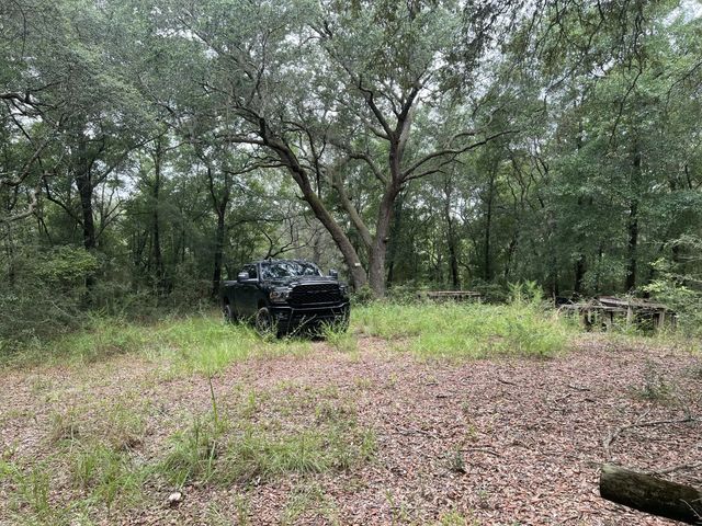 Photo of Listing #988998