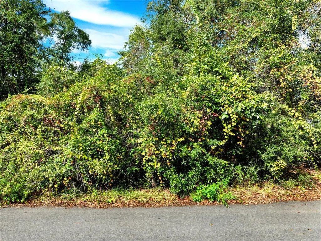 4 of 14 - 149 Palmetto Avenue, Freeport, FL