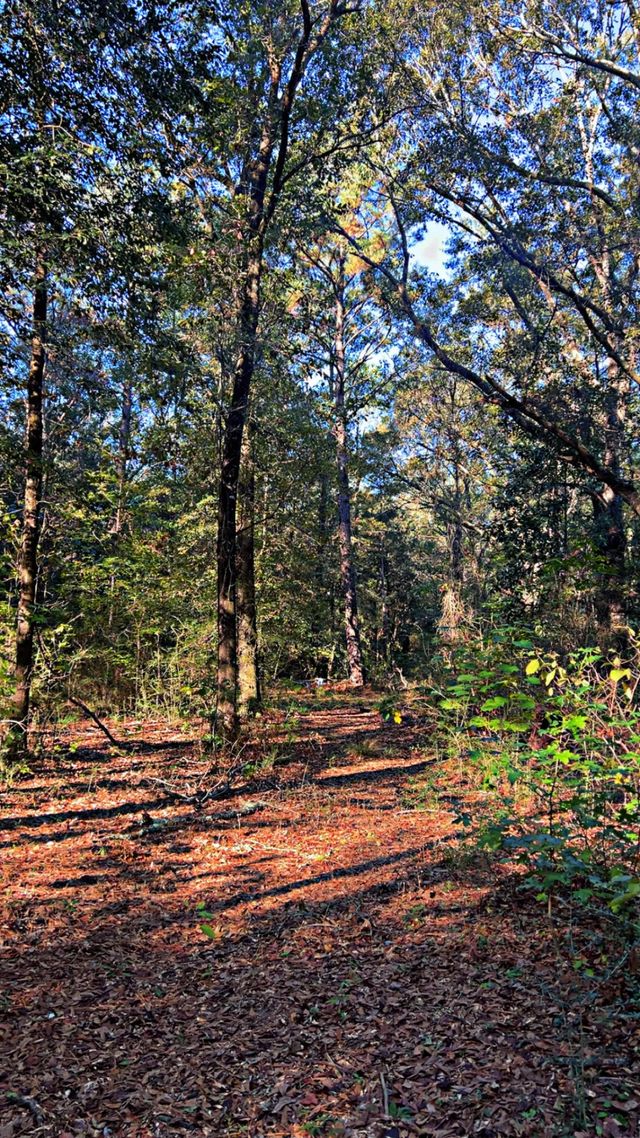Photo of Listing #989363
