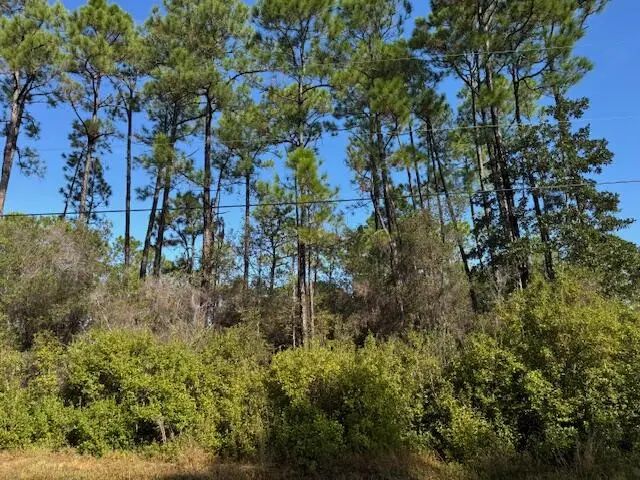 Photo of Listing #989420