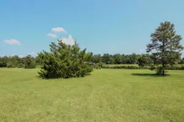Photo of Listing #989745
