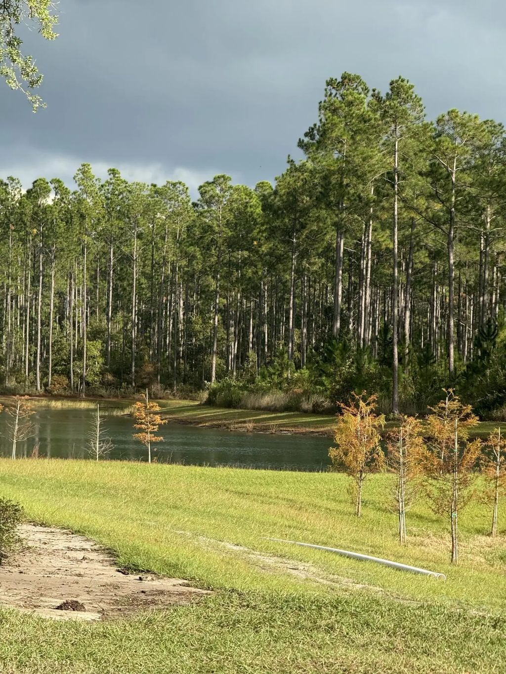 7 of 8 - Lot 18 Reserve At Hammock Bay, Freeport, FL