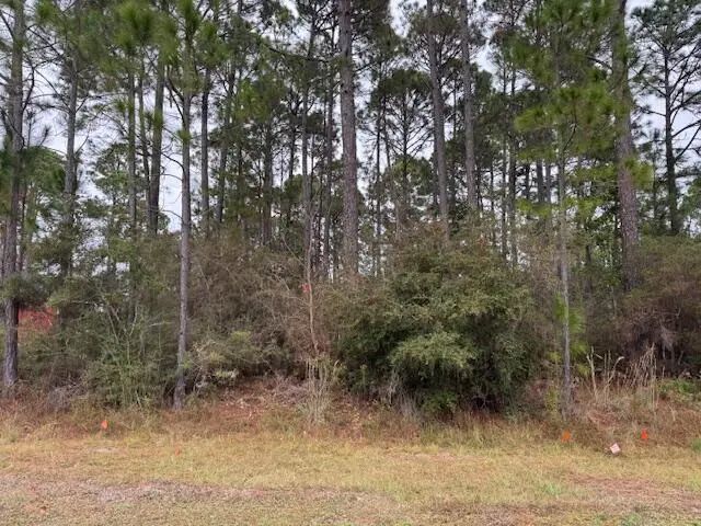 Photo of Listing #990724