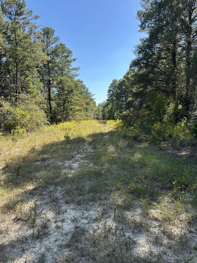 Photo of Listing #990631