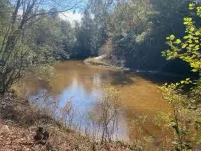 Photo of Listing #990857