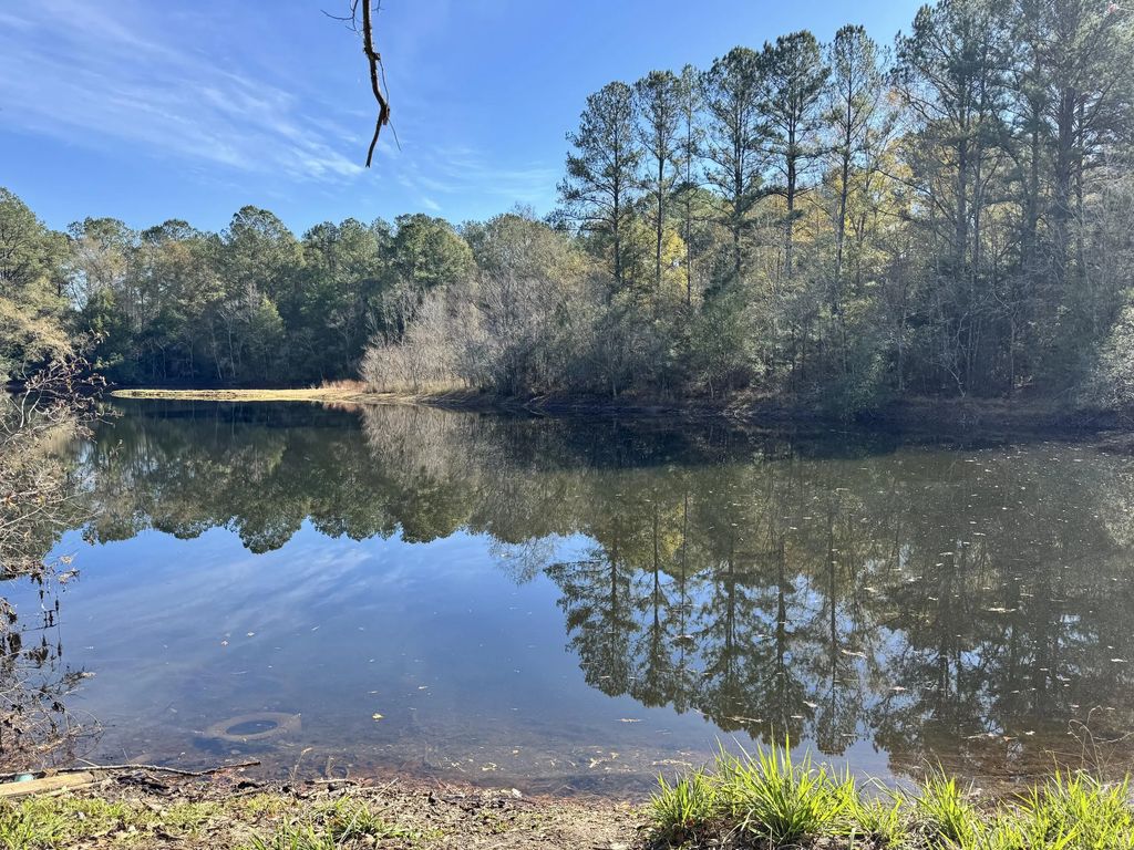 0 Gibson Street, Elba