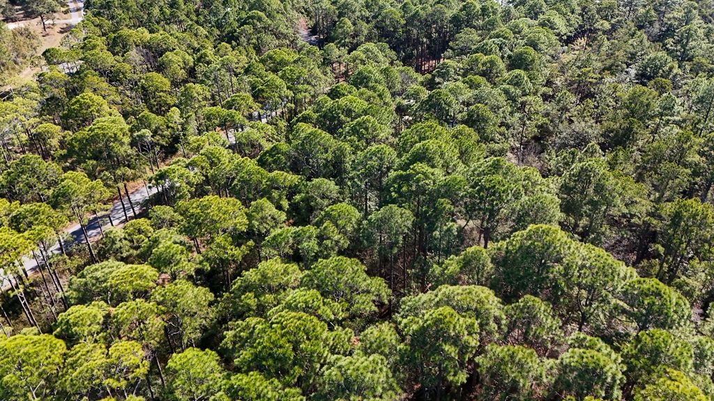 8 of 11 - 1.9 Acres Red Barn Road, Freeport, FL