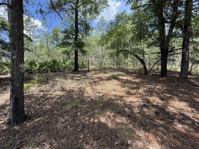Photo of Listing #992612
