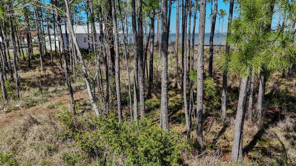 18 of 24 - 24 Woodland Bayou Drive, Santa Rosa Beach, FL