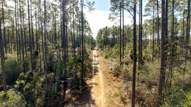 Photo of Listing #993165