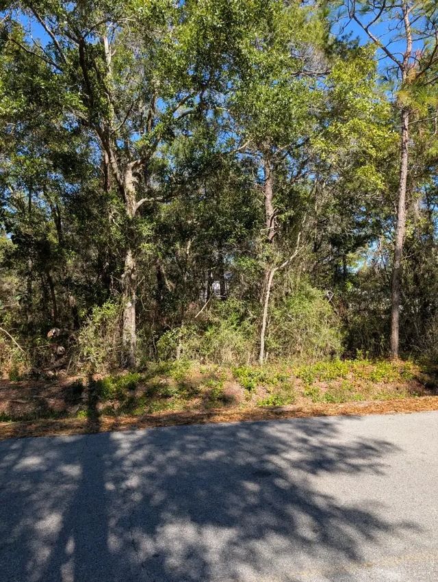 Photo of Listing #993284