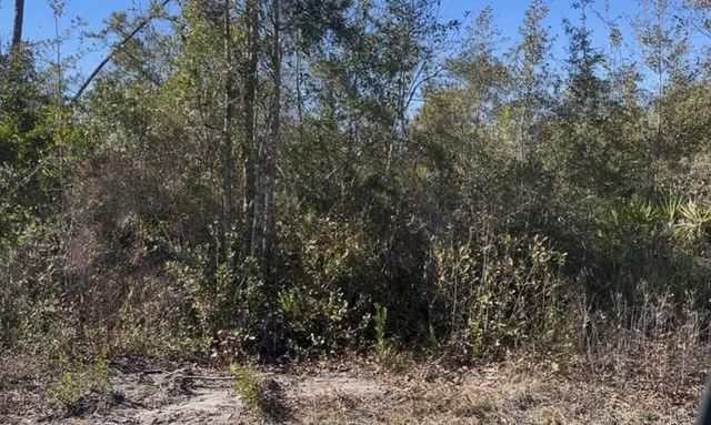 Photo of Listing #993514